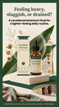 Lymphoria Botanical Flow Drops (Lymphatic Drainage Supplement)